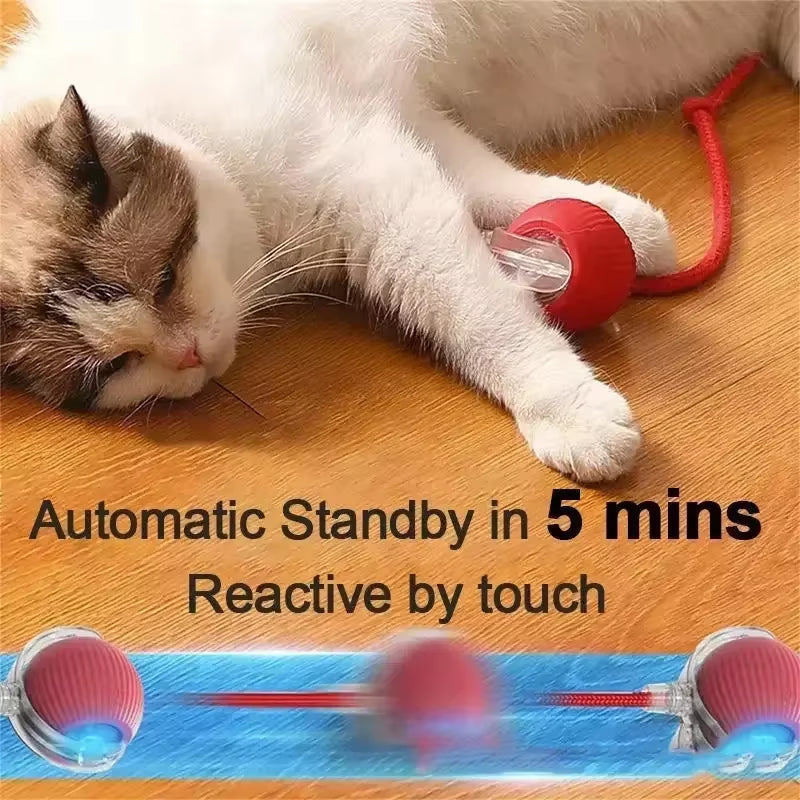 Rechargeable Interactive Dog and Cat Toy – Automatic Rolling Ball with Detachable Tail for Pets