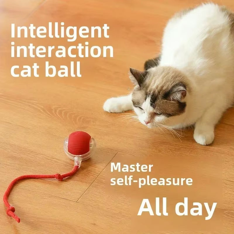 Rechargeable Interactive Dog and Cat Toy – Automatic Rolling Ball with Detachable Tail for Pets