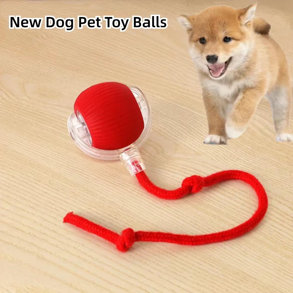 Rechargeable Interactive Dog and Cat Toy – Automatic Rolling Ball with Detachable Tail for Pets